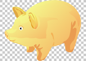 家猪,黄猪png剪贴画哺乳动物,动物,食肉动物,橙色,黄色花卉,动物