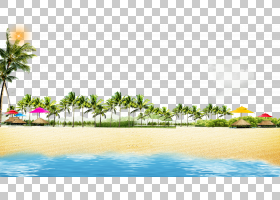 海滩海岸海报 夏天海滩椰子树丛戏剧背景 海岛png Clipart电脑壁免抠素材下载 图片id 免抠花卉 免抠素材 淘图网taopic Com