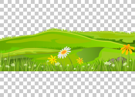 草坪,草盖,连绵起伏的丘陵png剪贴画叶,剪贴画,风景,电脑壁纸,花