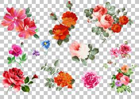 花卉图案背景,大丽花,花束,一年生植物,模式,插花,设计,人造花,花