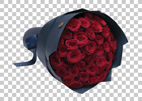 花卉剪贴画背景,植物,玫瑰秩序,玫瑰家族,红色,瓦尔纳,花盆,花瓣,