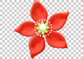 花卉剪贴画背景红色切花圣诞节蟋蟀花瓣花剪贴簿图片