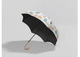 雨伞模型智能贴图样机 (5)