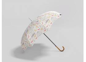 雨伞模型智能贴图样机 (7)