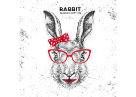 戴红色眼镜的可爱兔子素材