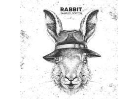 戴帽子的兔子卡通素材