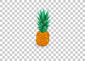 Pineapple Euclidean,PNG