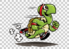 ڹҰ,tortoide PNG