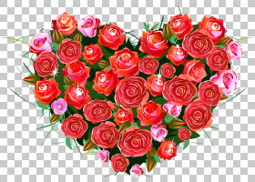 Heart Rose Love,kartikey