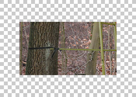Tree Stands Hunting weapon O
