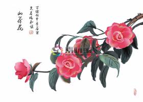 创意中国风水墨山茶花花卉插画