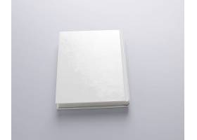 纯白的笔记本画册LOGO展示样机