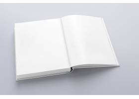 纯白的笔记本画册LOGO展示样机