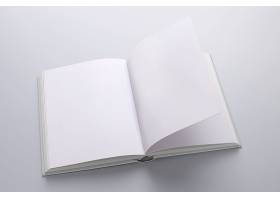 纯白的一�χ�下笔记本画册就是�~�t晨LOGO展示样机