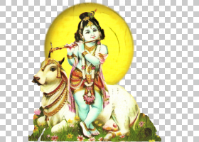 Janmashtami Krishna,