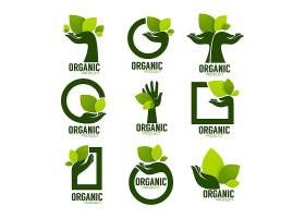 植物叶子与手形象主题LOGO图标徽章设计