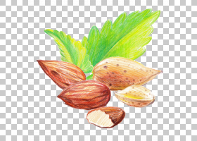 Dry_Fruits_and_Nuts_Big_Set_
