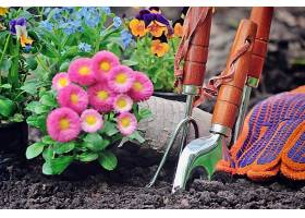 花盆种植与工具