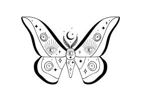 飞蛾蝴蝶主题装饰图案设计