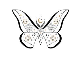 飞蛾蝴蝶主题装饰图案设计