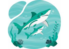 鲨鱼动物插画设计