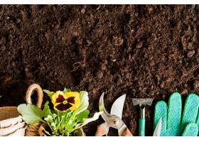 泥炭盆三色植物土壤上的园艺工具和手套_472543401