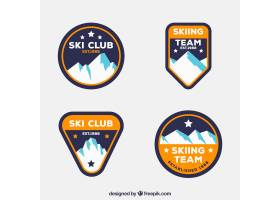 滑雪徽章收藏_1485508