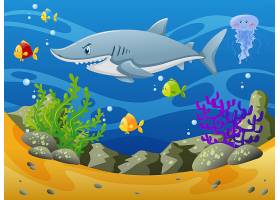 水下的鲨鱼和其他海洋动物_1170707