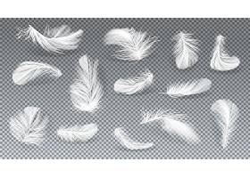 各种形状的白色小鸟或天使羽毛的矢量3D逼真_4015220