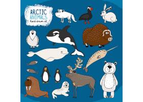 一套手绘的北极动物以冷蓝色为背景配上_10700557