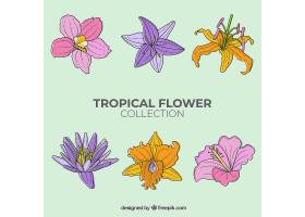 可爱的手绘热带花卉收藏_2700561