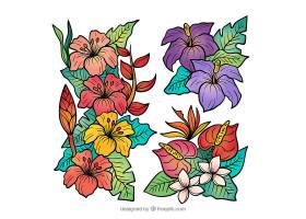 可爱的手绘热带花卉收藏_2700567