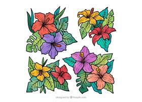 可爱的手绘热带花卉收藏_2700563