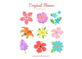 可爱的手绘热带花卉收藏_2719503