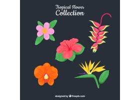 可爱的手绘热带花卉收藏_2719511