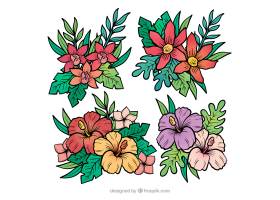 一套可爱的手绘热带花卉_2670370