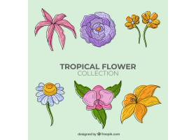 可爱的手绘热带花卉收藏_2700562