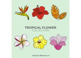 可爱的手绘热带花卉收藏_2700566