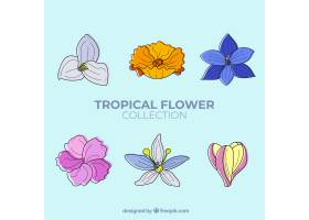 可爱的手绘热带花卉收藏_2700571