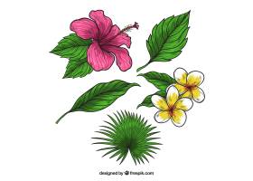 可爱的手绘热带花卉收藏_2719495