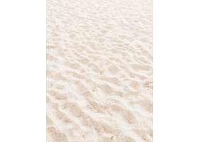 美好的海灘沙子在夏天_15848677