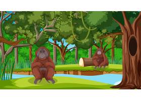 在森林或雨林场面的猩猩与许多树_16262452