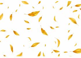 落的飞行秋叶背景现实秋天在白色背景隔绝_16312182