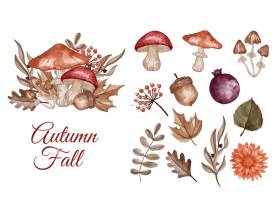 秋天主题的花叶子和蘑菇孤立的剪贴画_17446310