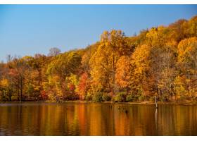 美丽的射击在湖旁边的森林和五颜六色的秋天_9184555