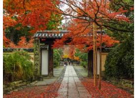 秋天在京都_9991435