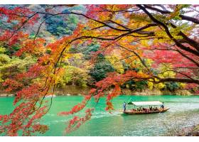 乘船在河上撞去的小船秋天季节的Arashiya_10695409