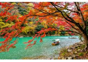 乘船在河上撞去的小船秋天季节的Arashiya_10824545
