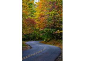令人叹为观止的道路包围美丽和五颜六色的秋_11207060
