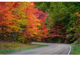 令人惊叹的秋天视图由美丽和五颜六色的树叶_10720602